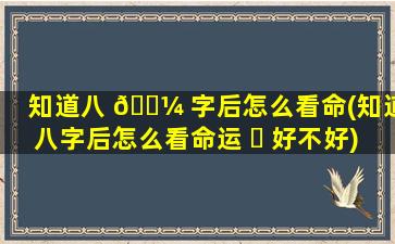 知道八 🐼 字后怎么看命(知道八字后怎么看命运 ☘ 好不好)